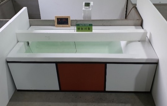 에코바 303